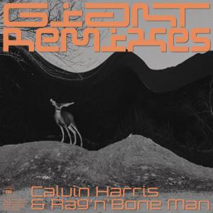 poster for Giant (Robin Schulz Remix) - Calvin Harris, Rag’n’Bone Man