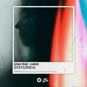 poster for Disturbia (feat. Lunis) - USAI