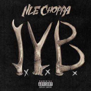 poster for I.Y.B. - NLE Choppa