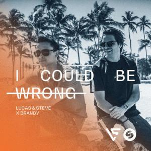 poster for I Could Be Wrong - Lucas & Steve x Brandy