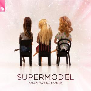 poster for Supermodel (feat. LIZ) - Bonsai Mammal