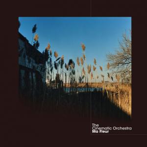 poster for To Build A Home (feat. Patrick Watson) - The Cinematic Orchestra
