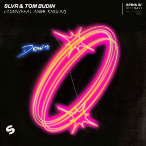 poster for Down (feat. ANML KNGDM) - SLVR & Tom Budin