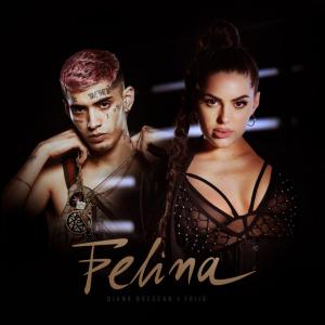 poster for Felina - Diana Brescan & Frijo