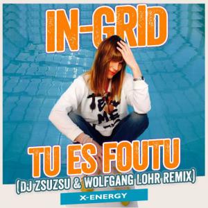 poster for Tu es foutu (DJ ZsuZsu & Wolfgang Lohr Remix) - In-Grid