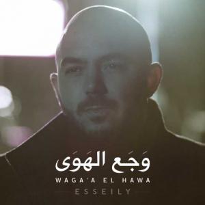 poster for وجع الهوى - محمود العسيلى
