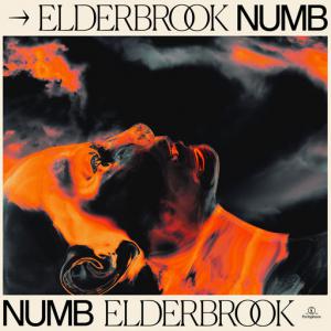poster for Numb - Elderbrook