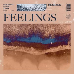 poster for Feelings (feat. Zeeba) [Pontifexx Remix] - Pontifexx & Le Dib