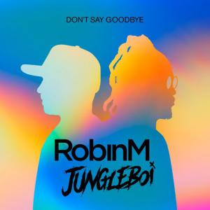 poster for Don’t Say Goodbye - Robin M, Jungleboi