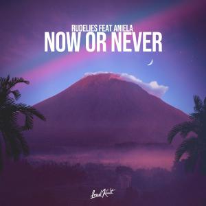 poster for Now or Never (feat. Aniela) - RudeLies
