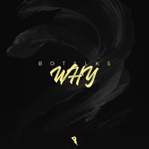 poster for Why - BoTalks