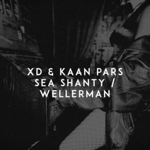 poster for Sea Shanty / Wellerman - XD, Kaan Pars