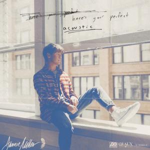 poster for Here’s Your Perfect (Acoustic) - Jamie Miller