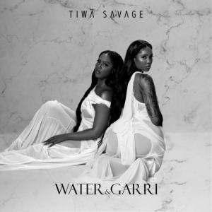 poster for Somebody’s Son (feat. Brandy) - Tiwa Savage