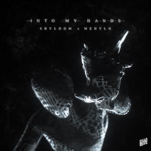 poster for Into My Hands - Shyloom & MeHylo