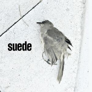poster for The Invisibles - Suede
