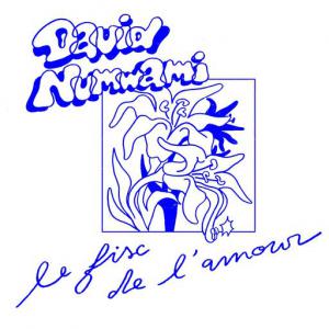 poster for Le fisc de l’amour - David Numwami