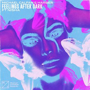 poster for Feelings After Dark (feat. NISHA) - Michael Calfan & HARBER