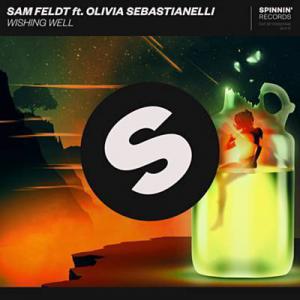 poster for  Wishing Well (feat. Olivia Sebastianelli) - Sam Feldt ft. Olivia Sebastianelli