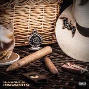 poster for Incognito - H Magnum