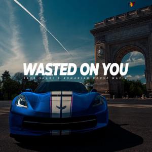 poster for Wasted on You - Jade Shadi, Romanian House Mafia