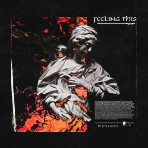 poster for Feeling This - WeDamnz