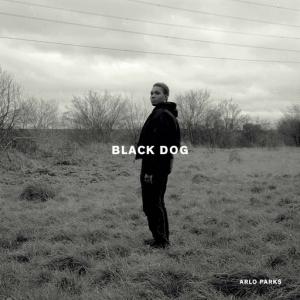 poster for Black Dog - Arlo Parks