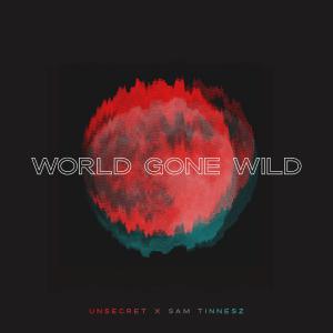 poster for World Gone Wild - UNSECRET & Sam Tinnesz