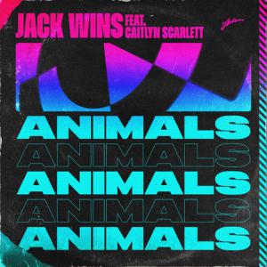 poster for Animals - Jack wins, Caitlyn Scarlett