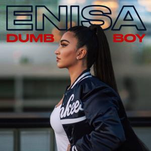 poster for Dumb Boy  - Enisa