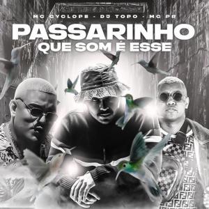 poster for Passarinho Que Som É Esse - Dj Topo, Mc Cyclope, MC PR