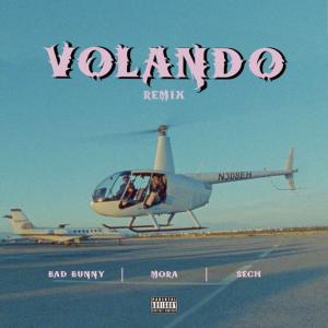 poster for Volando (Remix) - Mora, Bad Bunny, Sech