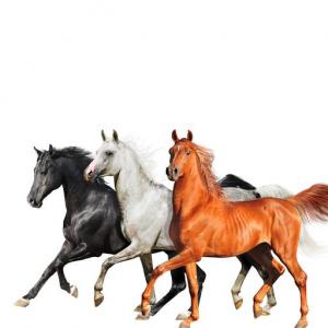 poster for Old Town Road (Diplo Remix) - Lil Nas X, Billy Ray Cyrus, Diplo