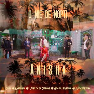 poster for O mie de nopti (feat. Costi, Baboiash, Jean de la Craiova & Nicu Paleru) - Anisha