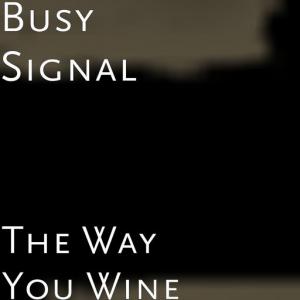 poster for The Way You Wine - Busy Signal