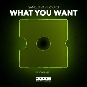 poster for What You Want - Sander van Doorn