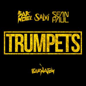 poster for Trumpets (feat. Sean Paul) - Sak Noel, Salvi
