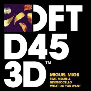 poster for What Do You Want (feat. Meshell Ndegeocello) (Edit) - Miguel Migs
