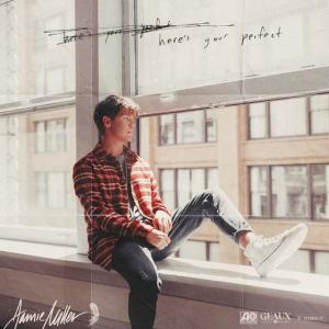poster for Here’s Your Perfect - Jamie Miller