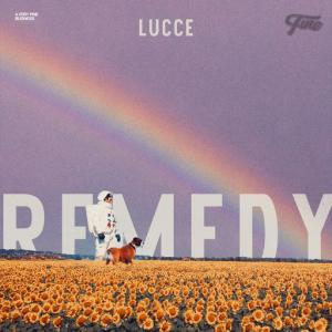 poster for Remedy - Lucce