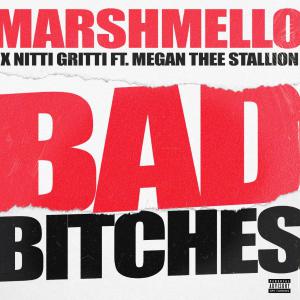 poster for Bad Bitches - Marshmello, Nitti Gritti & Megan Thee Stallion