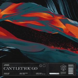 poster for Can’t Let You Go (Extended Mix) - Janee