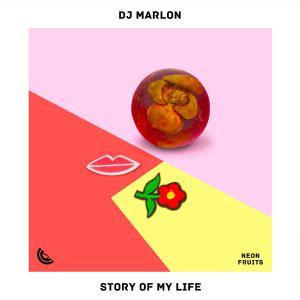 poster for Story of My Life - DJ Marlon
