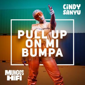 poster for Pull Up On Mi Bumpa - Cindy Sanyu, Mungo’s HI FI