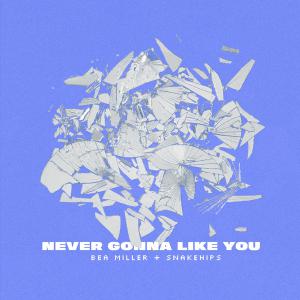 poster for Never Gonna Like You (feat. Snakehips) - Bea Miller & Snakehips