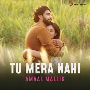poster for Tu Mera Nahi - Amaal Mallik