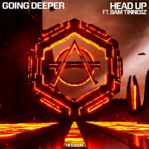 poster for Head Up (feat. Sam Tinnesz) - Going Deeper