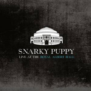 poster for While We’re Young (Live) - Snarky Puppy