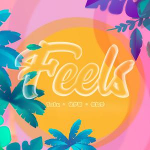poster for Feels (feat. 傅如乔) - Tobu, 徐梦圆 & 傅如乔