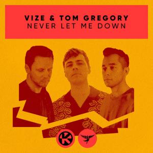 poster for Never Let Me Down - Vize, Tom Gregory